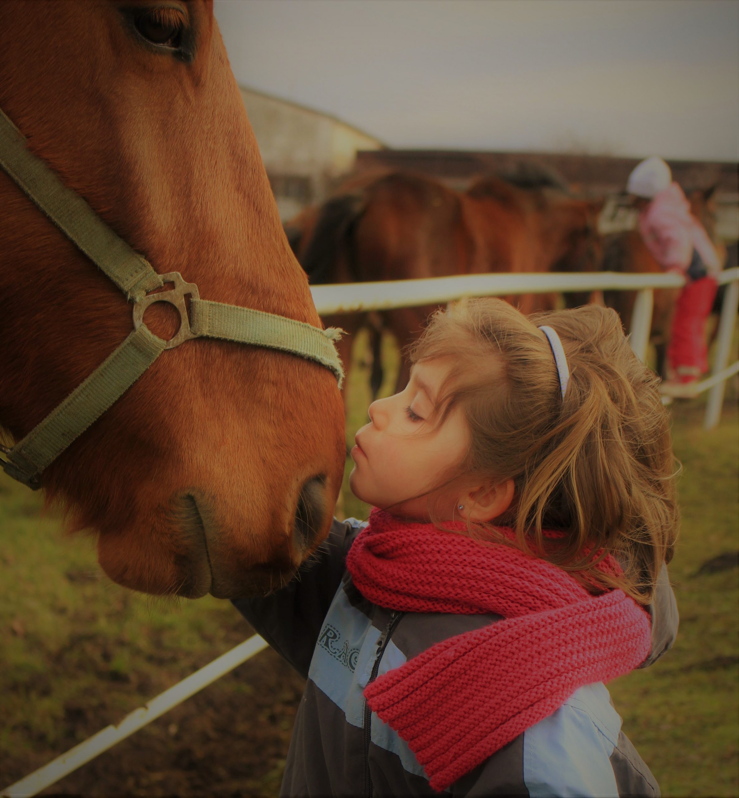 Un cheval marron et une petite fille dans un pré clôturé.
La petite fille fait un bisou sur le museau du cheval.
