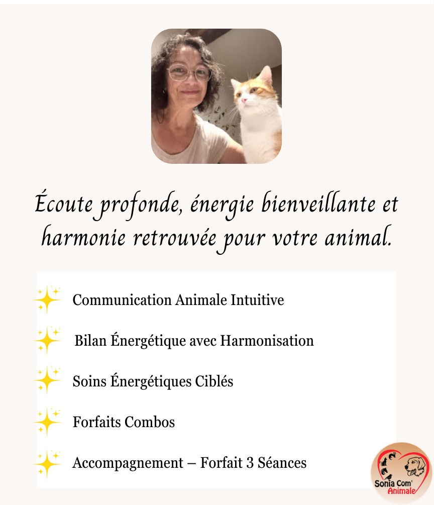 Mes services de communication animale et de soins énergétiques
